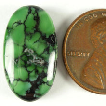 Load image into Gallery viewer, Turquoise Cabochons